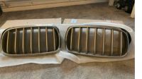 BMW X5 Grille