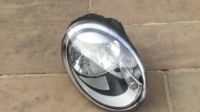 2013 VW Beetle Headlight with Tray