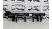 (12-18) Ford Fiesta 1.25, 81Bhp Snjb Mk7 B299 - Injector Rail & Injectors