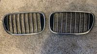 BMW 7 Series G11/12 Front Kidney Grilles