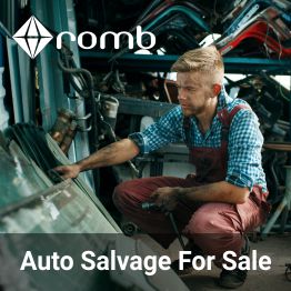 Auto salvage for sale