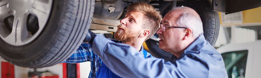 Post-purchase inspection of salvage cars